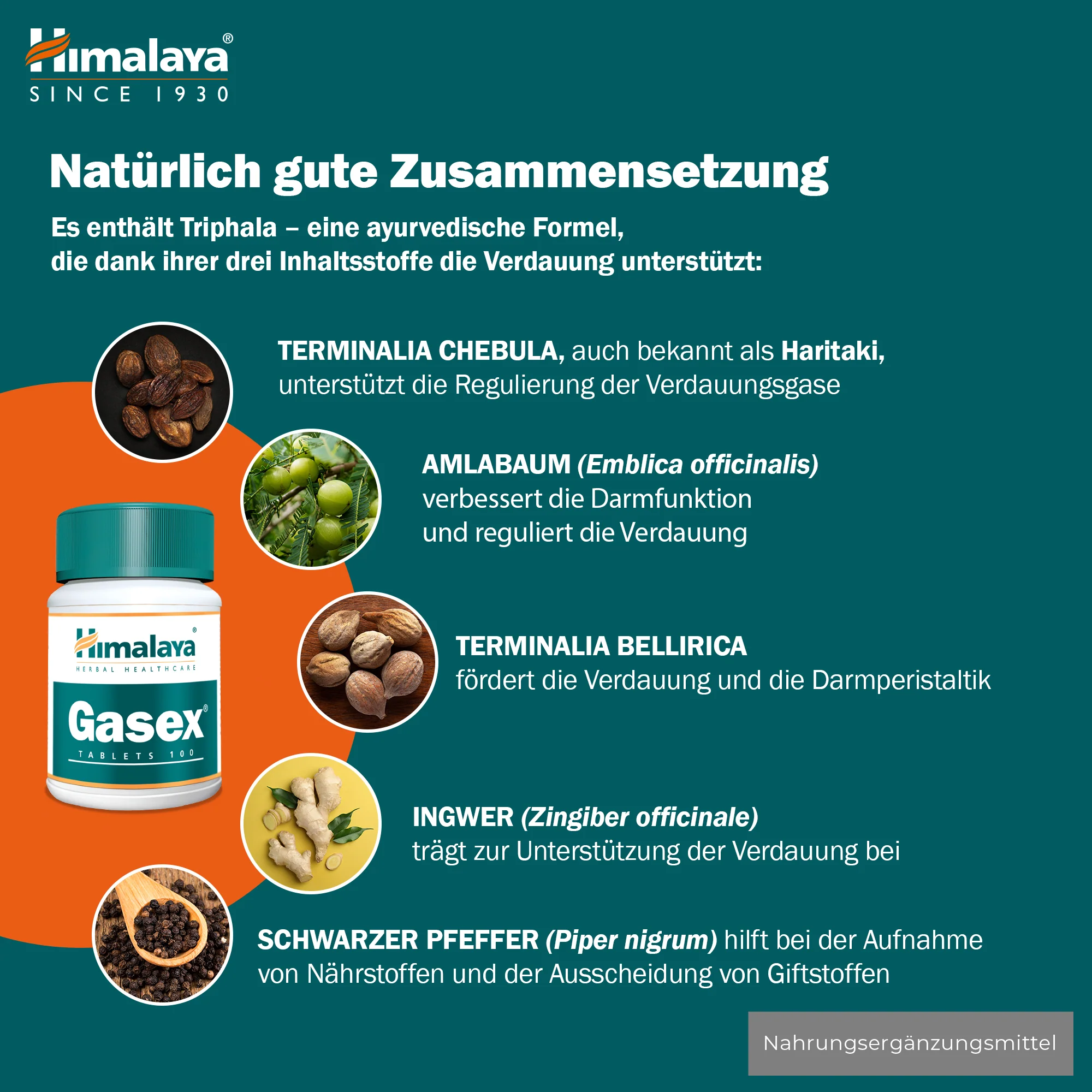 Himalaya Gasex - 100 Tablets - Image 3