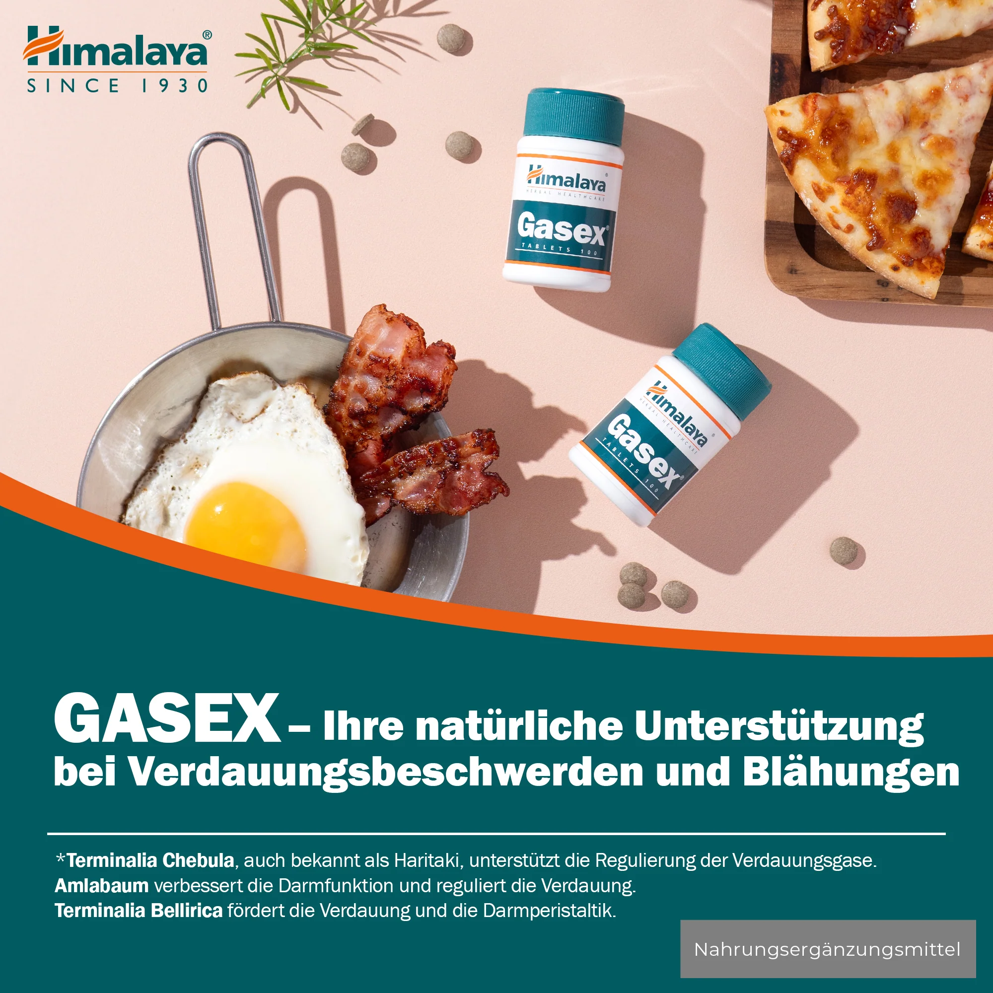 Himalaya Gasex - 100 Tablets - Image 4