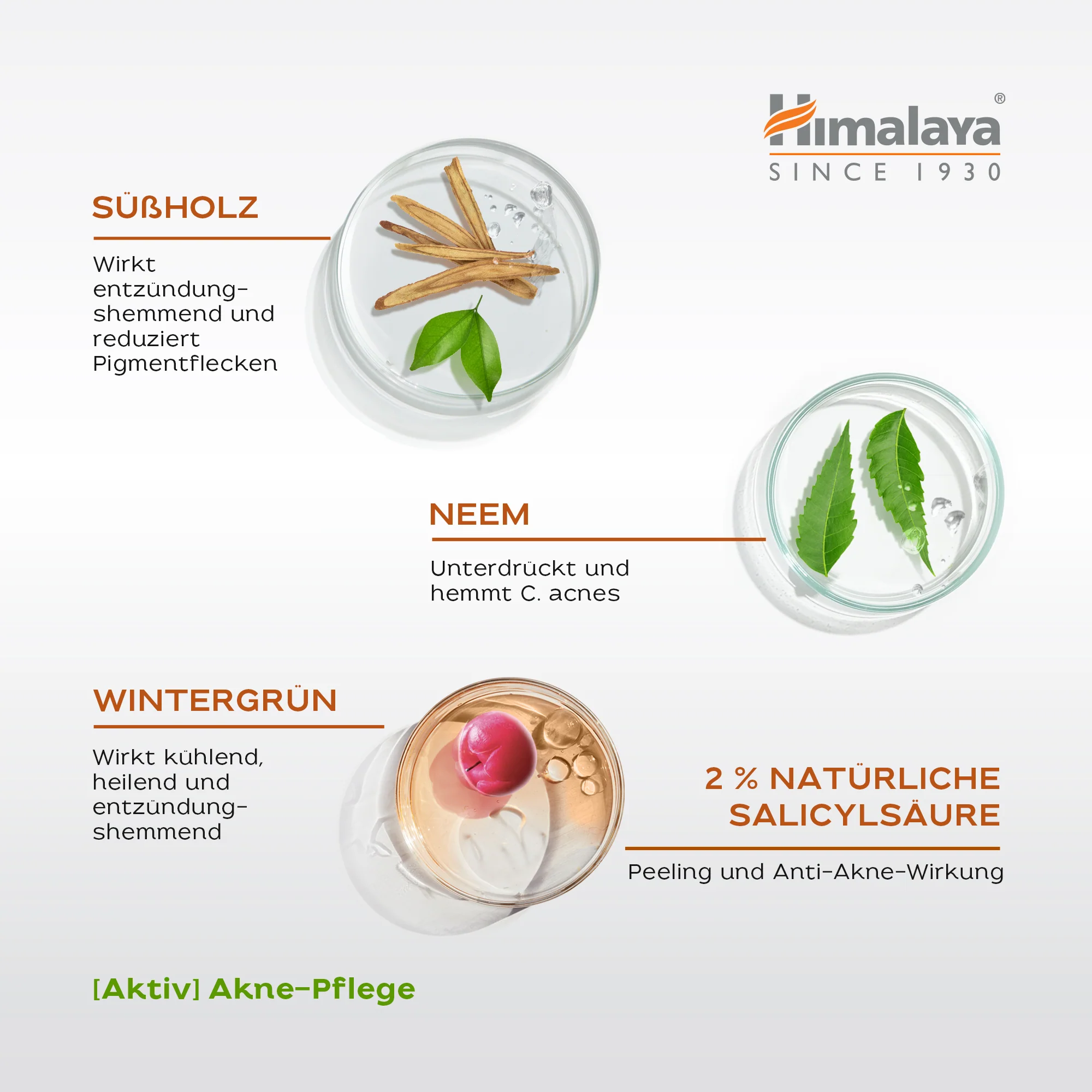 Himalaya Acne Clear+ Treatment Pen - Image 4