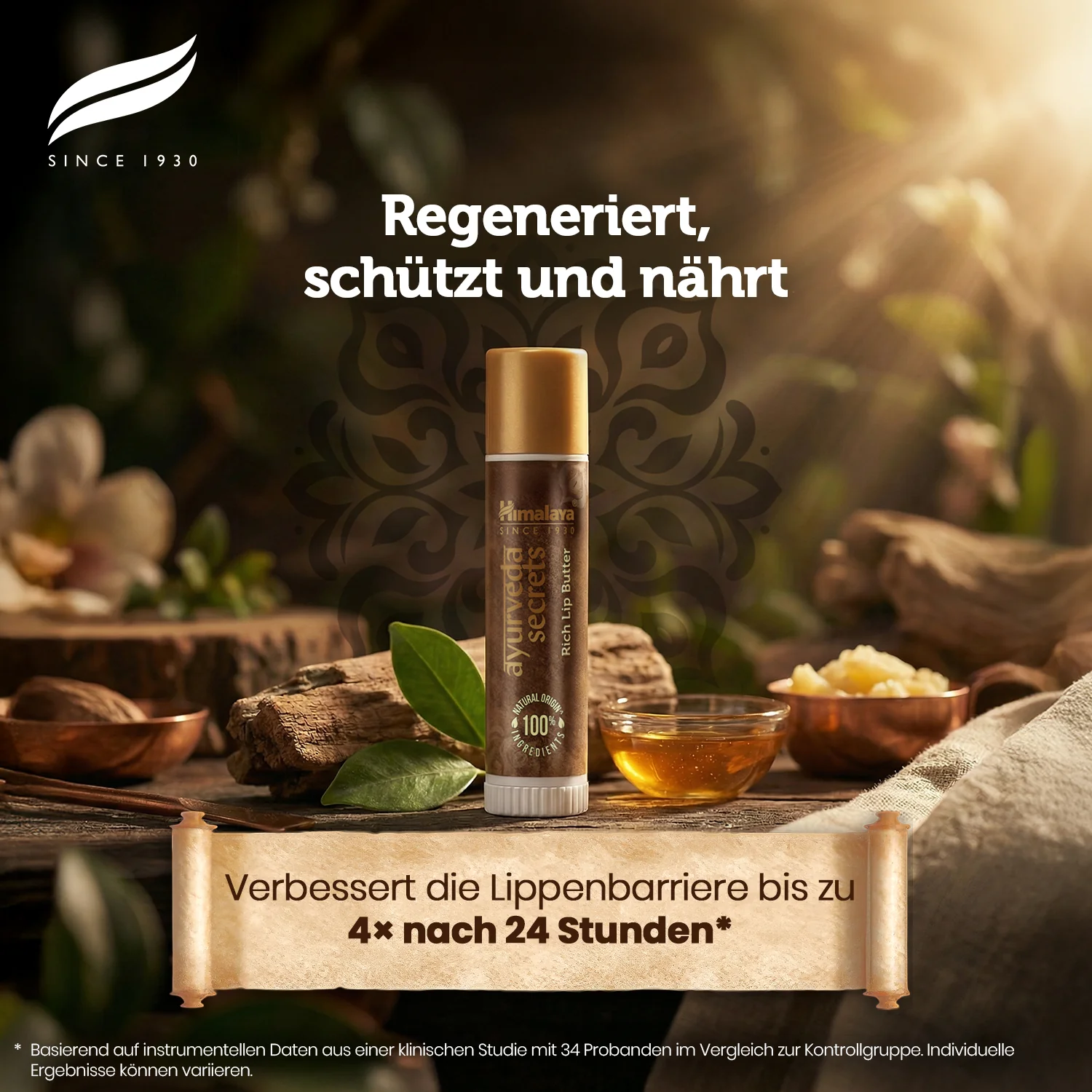 Himalaya AYURVEDA SECRETS RICH LIP BUTTER - Image 4