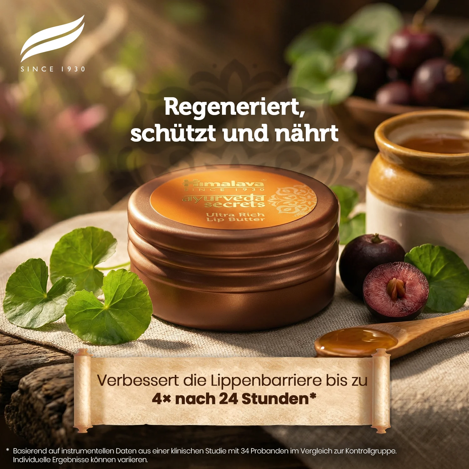 Himalaya AYURVEDA SECRETS ULTRA RICH LIP BUTTER - Image 4