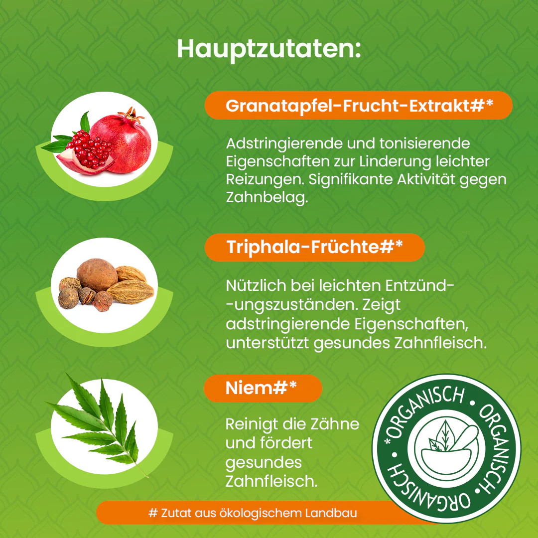 Himalaya Botanique Neem & Granatapfel Zahnpasta - 150 g - Image 4