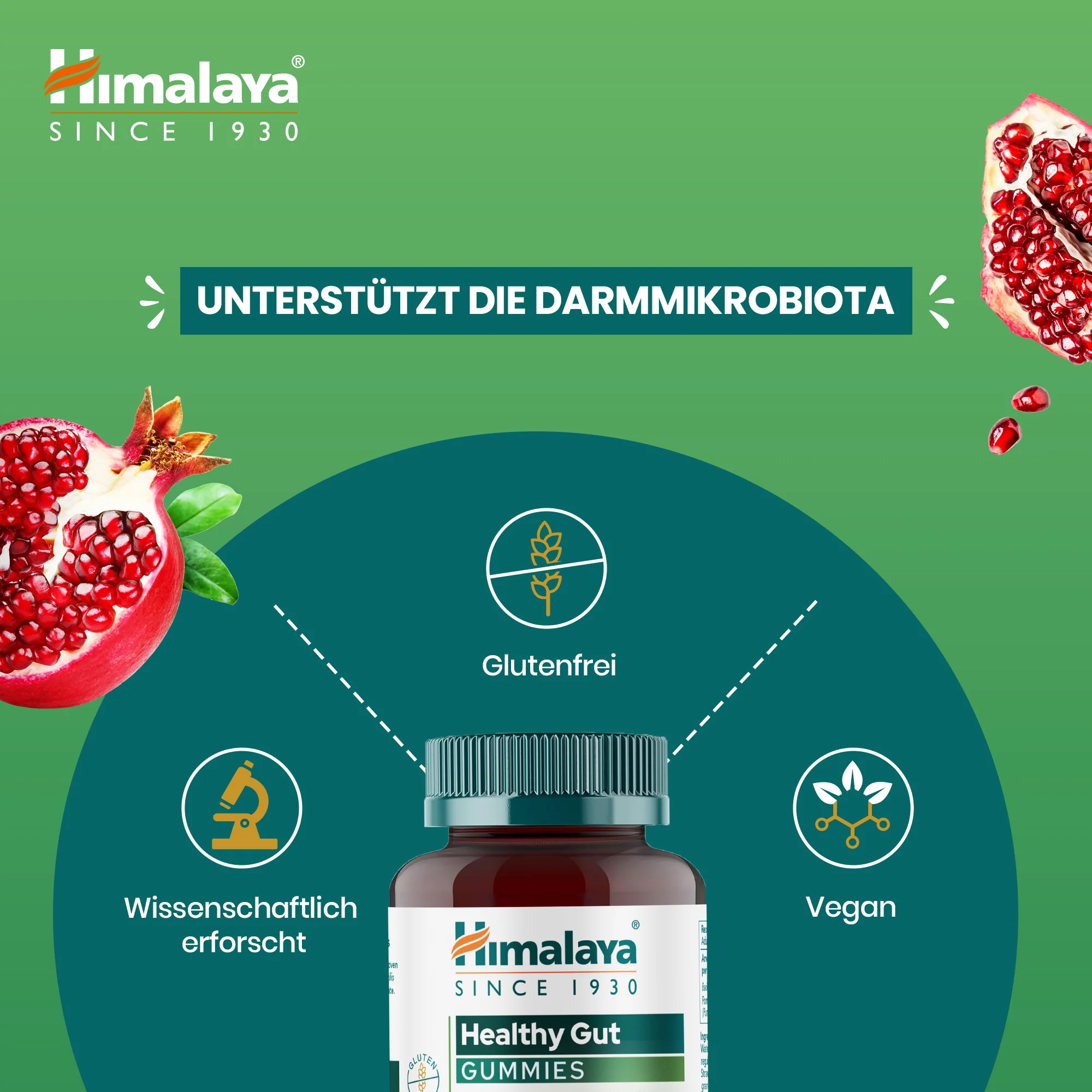 Himalaya Healthy Gut Gummies - Image 3