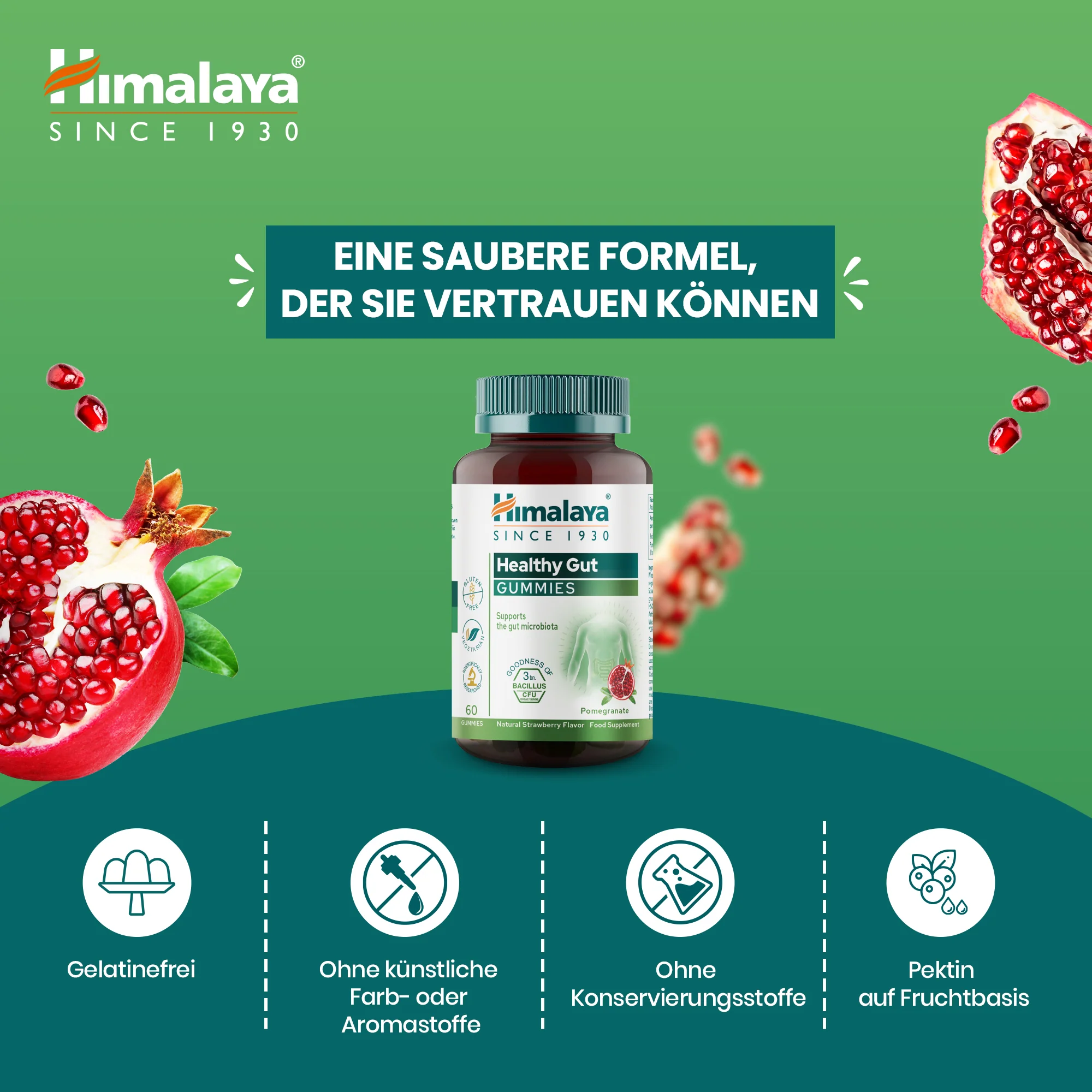 Himalaya Healthy Gut Gummies - Image 4