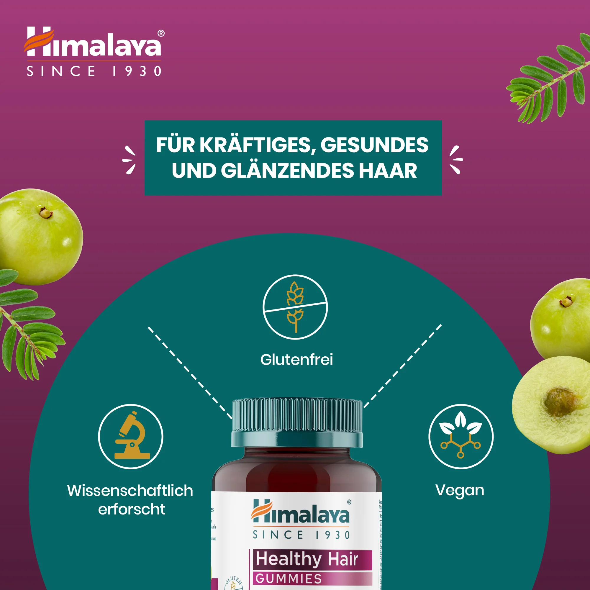 Himalaya Healthy Hair Gummies - Image 3