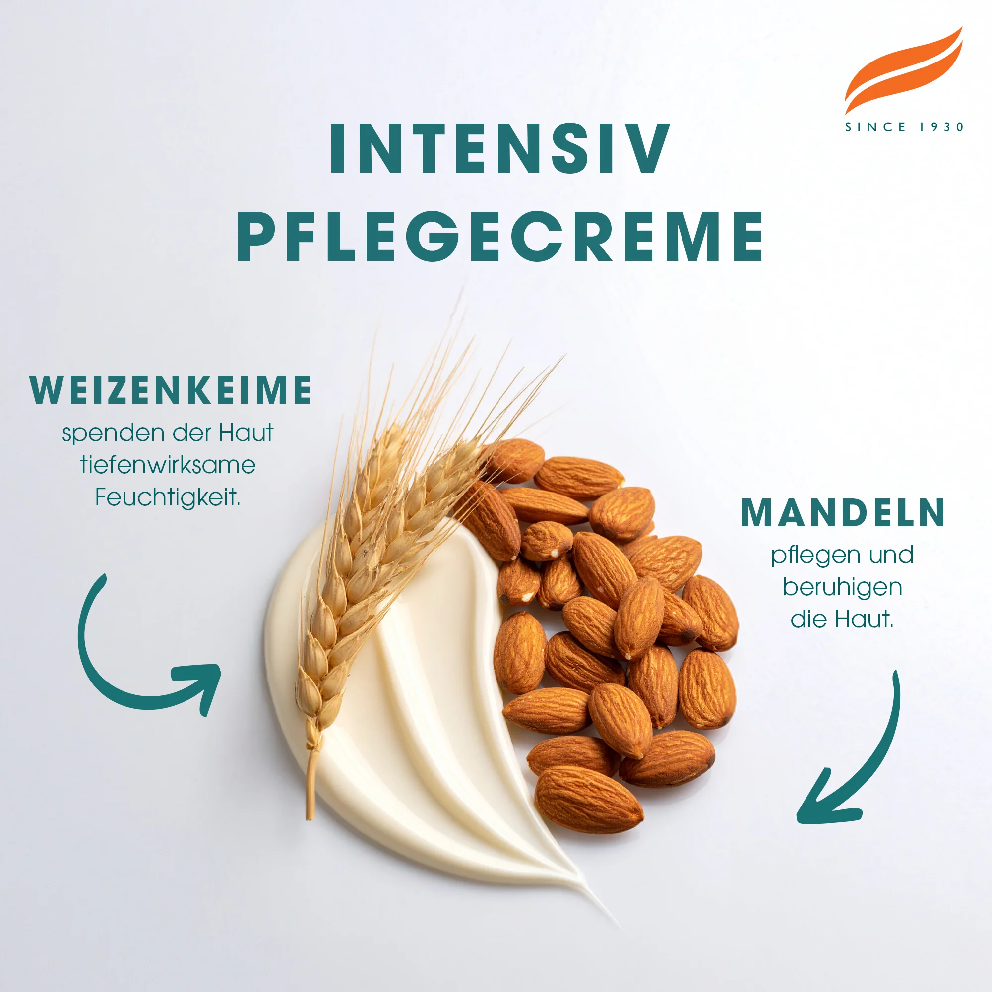 Himalaya Intensiv feuchtigkeitsspendende Creme - Image 4