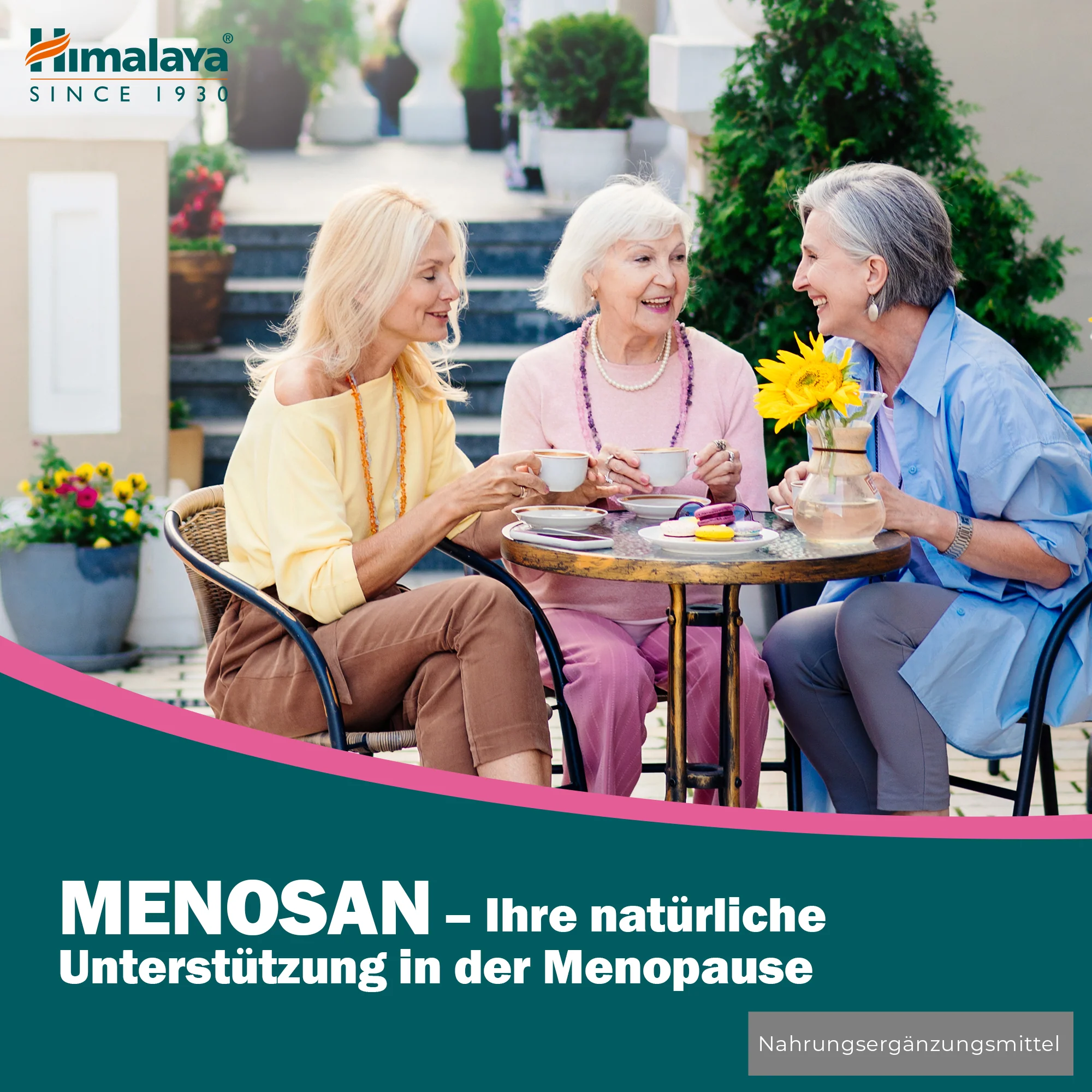 Himalaya Menosan - 60 Tablets - Image 5