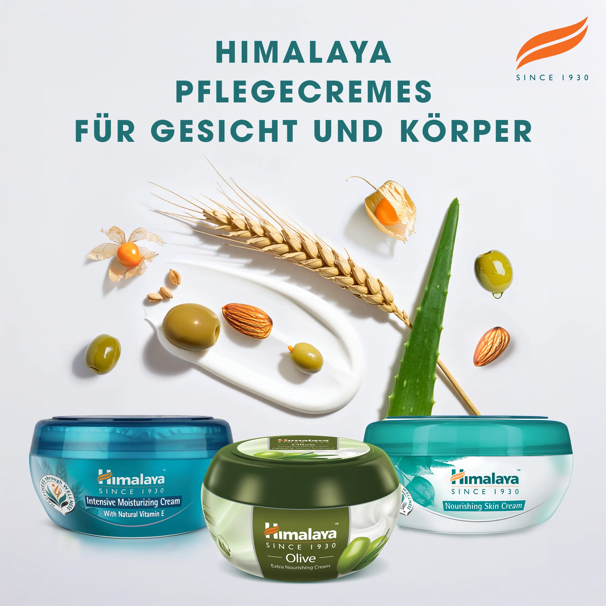 Himalaya Nährende Creme - Image 6