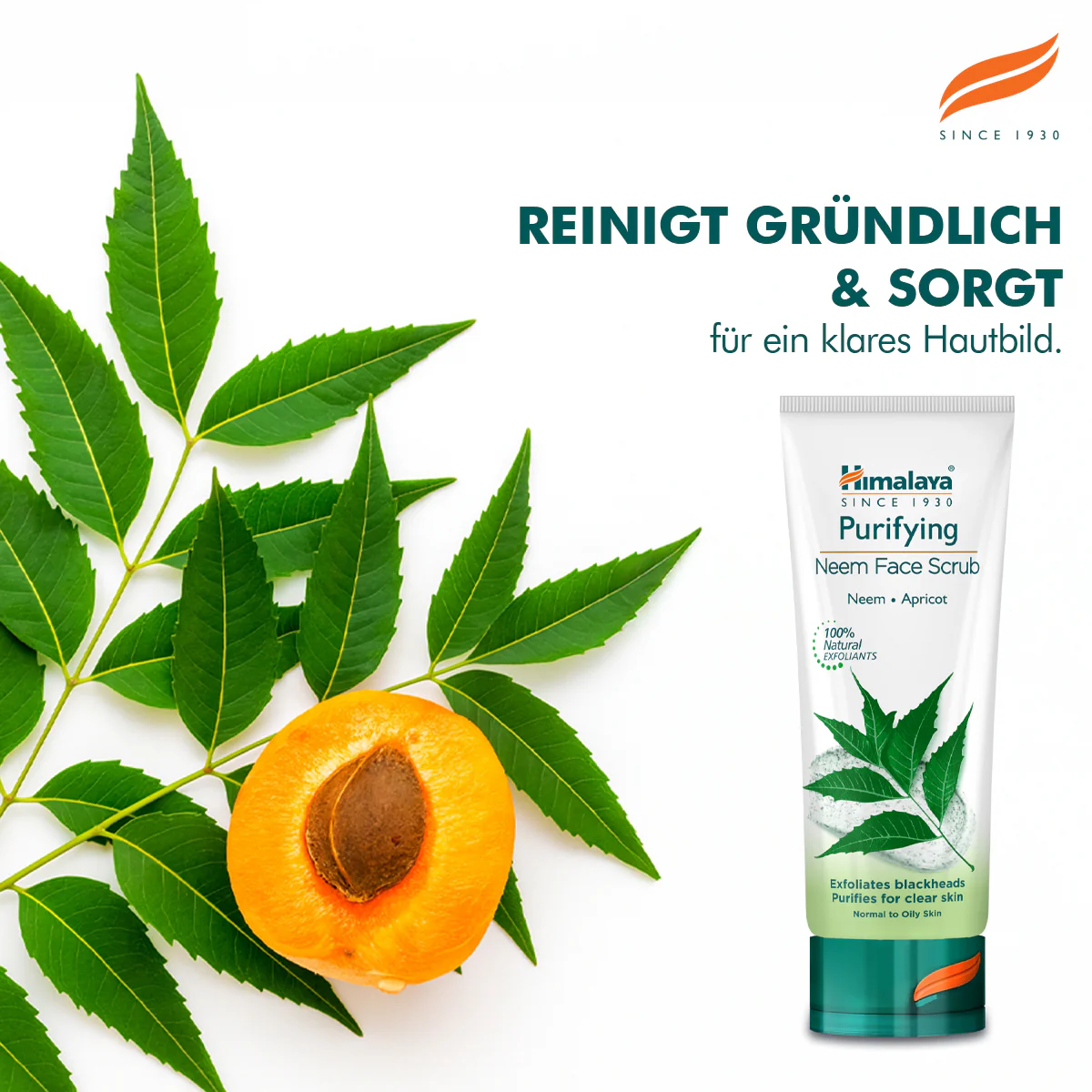 Himalaya Reinigender Neem-Peeling - 75ml - Image 3