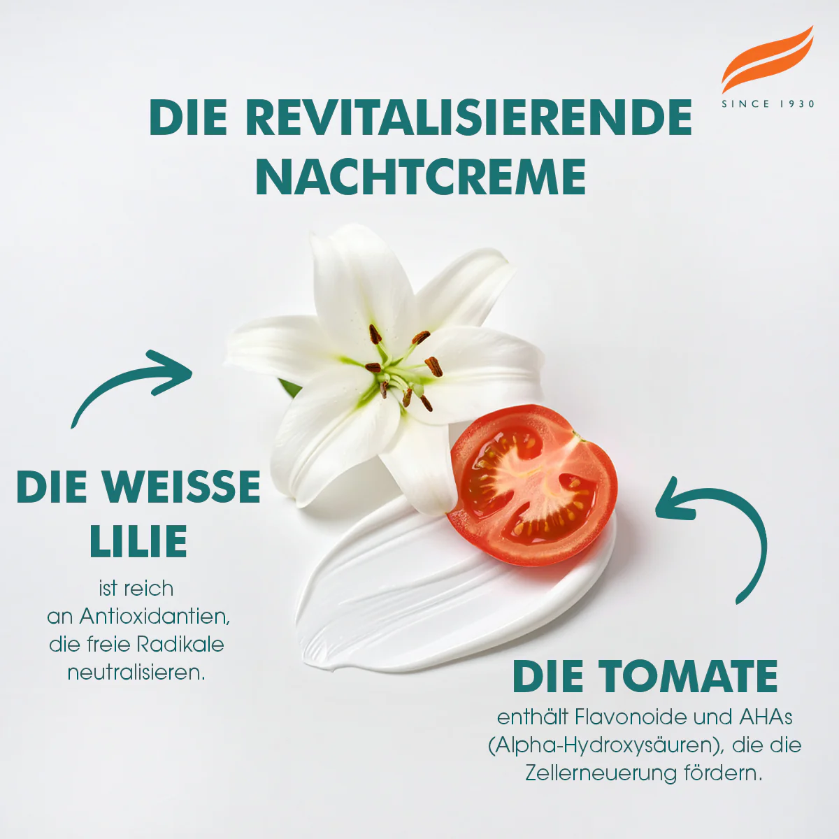 Himalaya Revitalisierende Nachtcreme - 50g - Image 4