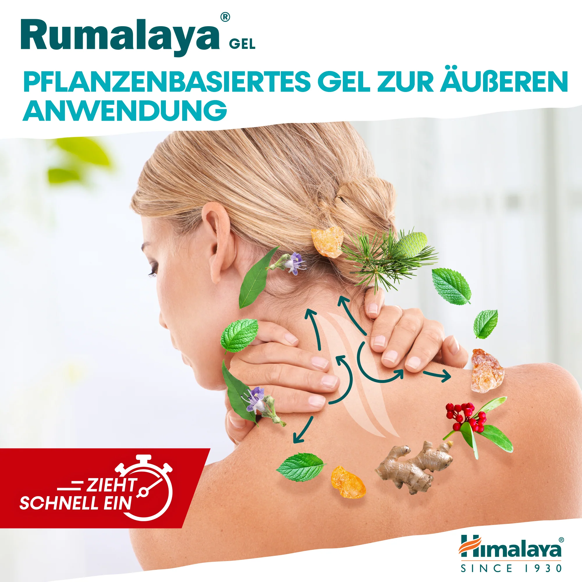 Himalaya Rumalaya-Gel - 50g - Image 4